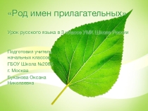 Презентация к уроку Род имен прилагательных