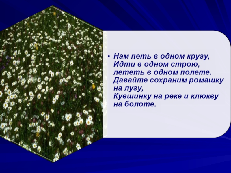 Природные ресурсы Родинского района