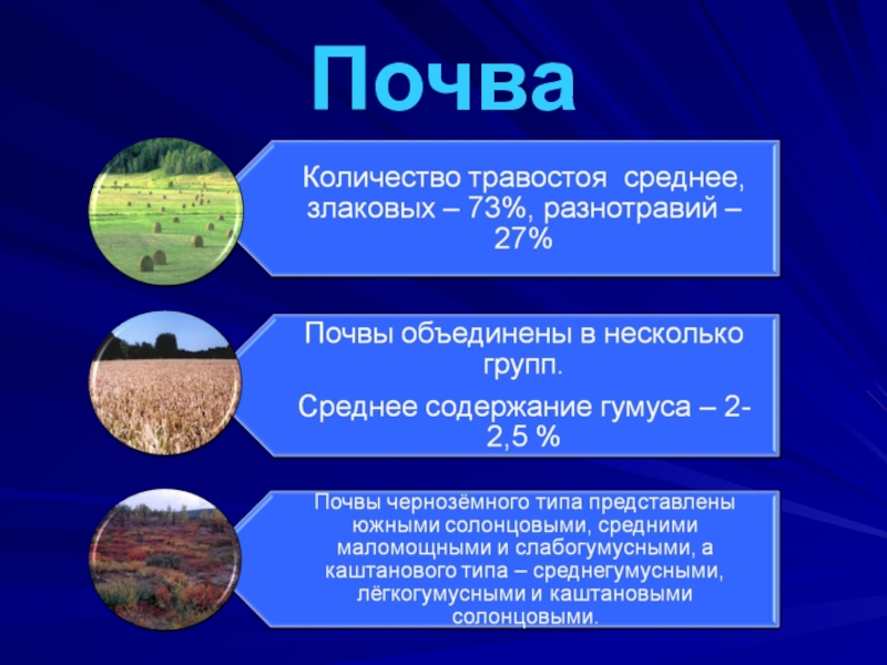 Природные ресурсы Родинского района Почва Почва