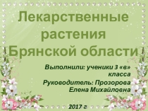 Презентация окружающему миру Лекарственные растения Брянской области