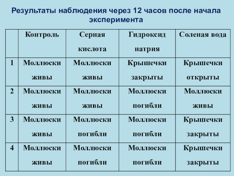 Презентация экологического проекта Влияние разных уровней кислотности, солёности в воде на выживаемость моллюска прудовик обыкновенный Результаты наблюдения через 12 часов после начала эксперимента Результаты наблюдения через 12 часов после начала эксперимента