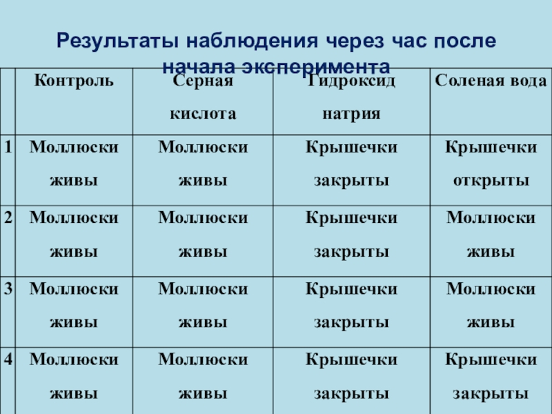 Презентация экологического проекта Влияние разных уровней кислотности, солёности в воде на выживаемость моллюска прудовик обыкновенный Результаты наблюдения через час после начала эксперимента Результаты наблюдения через час после начала эксперимента