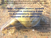 Презентация экологического проекта Влияние разных уровней кислотности, солёности в воде на выживаемость моллюска прудовик обыкновенный