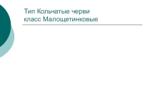 Презентация Тип Кольчатые черви ,класс Малощетинковые (7 класс)
