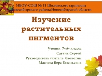 Исследовательская работа Саутина Сергея Свойства растительных пигментов