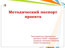 Презентация Методический паспорт проекта