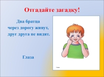 Презентация по предмету Мир природы и человека на тему Глаза - органы чувств человека (1 класс)