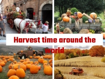 Презентация по английскому языку Harvest time around the world