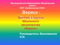 Презентация по экологии на темуВереск (5 класс)
