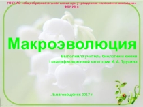 Презентация по биологии на тему Макроэволюция