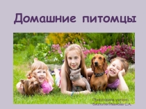 Презентация к игре по биологии на тему Домашние питомцы (5 класс)