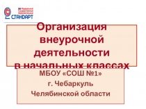 Презентация Организация внеурочной деятельности в начальных классах