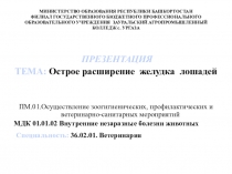 Презентация по ПМ.01.Осуществление зоогигиенических, профилактических и ветеринарно-санитарных мероприятий МДК 01.01.02 Внутренние незаразные болезни животных на тему Острое расширение желудка