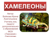 Презентация по внеурочной деятельности на тему Хамелеон (4 класс)