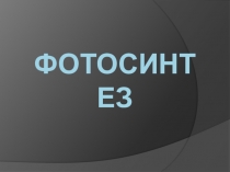 Презентация по биологии на тему Фотосинтез