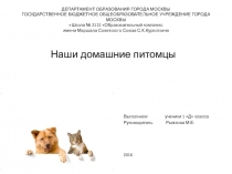 Проект Наши домашние питомцы