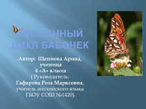 Презентация. Жизненный цикл бабочек