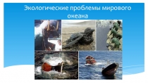 Экологические проблемы мирового океана