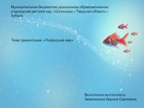 Подводный мир