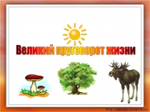 Презентация по окружающему миру . Тема: Великий круговорот