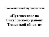 Презентация Путешествие по Викуловскому району