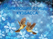Презентация Зимующие птицы Кузбасса для учащихся 1-2 класса