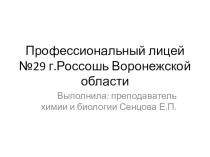 Презентация по профориентационной работе ПЛ №29 г. Россошь Воронежской области