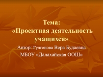 Презентация Проектная деятельность учащихся (начальные классы)