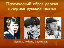 Открытый урок литературы в старших классах Поэтический образ дерева в лирике русских поэтов