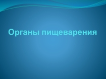Органы пищеварения.