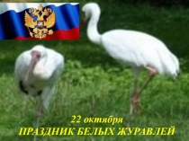 Классный час Праздник белых журавлей (презентация)