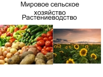 Презентация по географии на тему растениводство