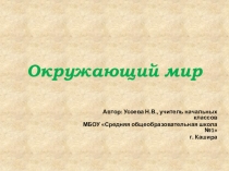 Презентация Почему мы любим кошек и собак (1 класс)