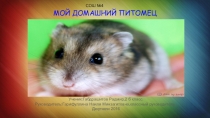 Мой домашний питомец джунгарский хомяк
