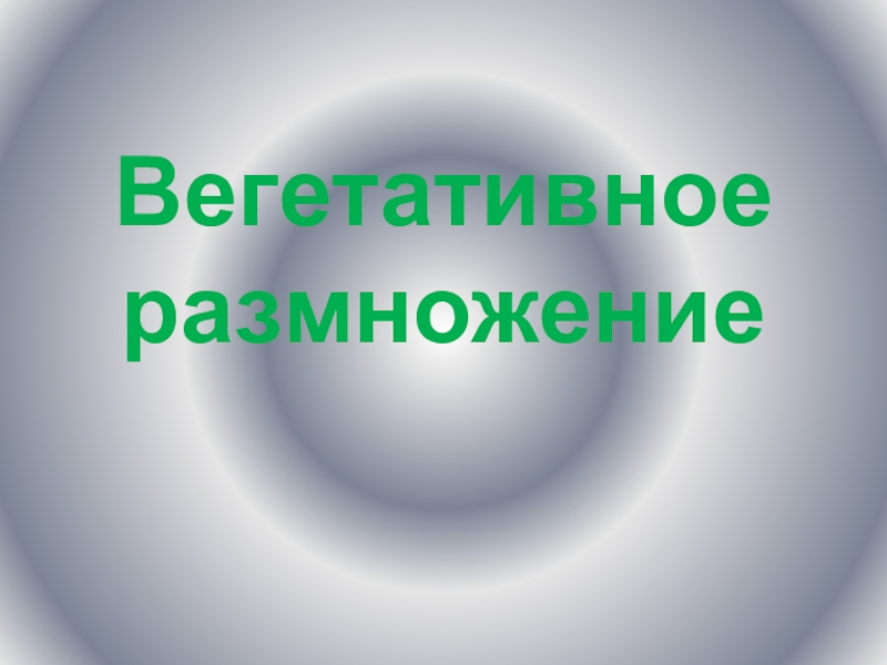 Презентация Презентация по биологии по теме Вегетативное размножение