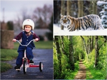 Презентация по окружающему миру на тему Ограны дыхания (3 класс)