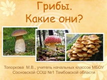 Презентация по окружающему миру на тему В царстве грибов (3 кл)