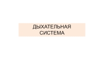 Презентация по биологии на тему Дыхательная система