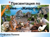 Презентация по окружающему миру на тему: Животные 2 класс