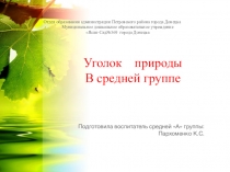 Уголок природы В средней группе