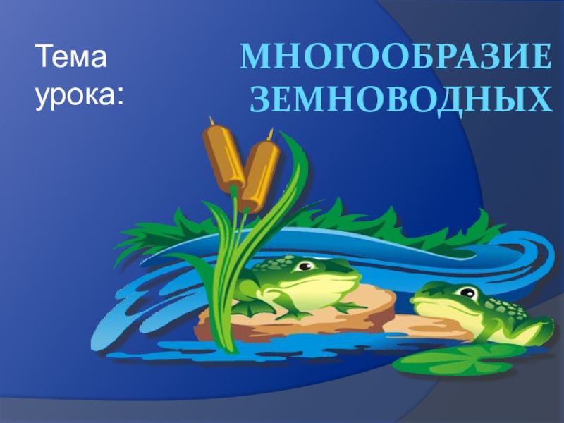 Презентация по биологии на тему Многообразие земноводных (7 класс) МНОГООБРАЗИЕ ЗЕМНОВОДНЫХТема урока: МНОГООБРАЗИЕ ЗЕМНОВОДНЫХТема урока: