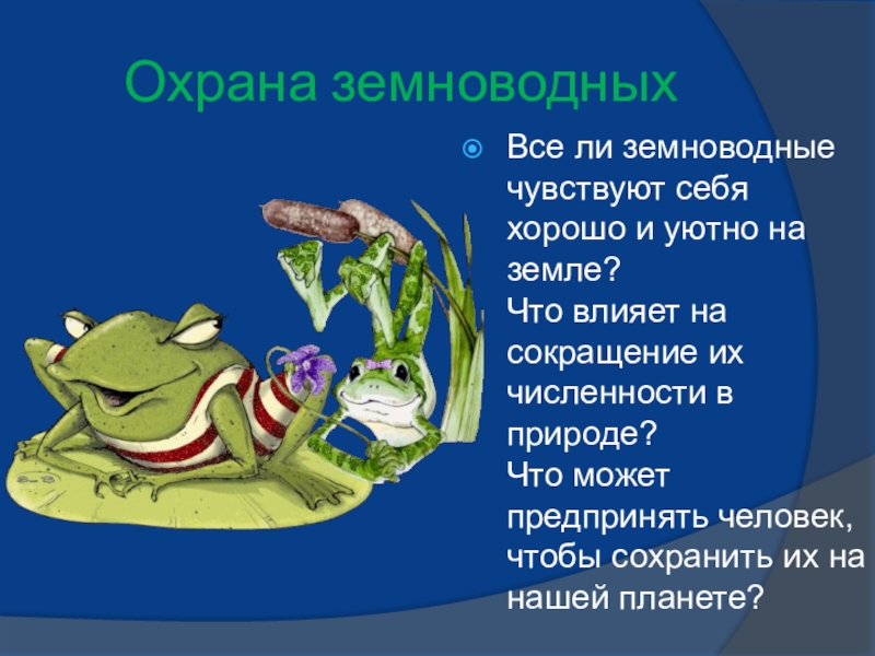 Презентация по биологии на тему Многообразие земноводных (7 класс) Охрана земноводныхВсе ли земноводные чувствуют себя хорошо и уютно на земле? Охрана земноводныхВсе ли земноводные чувствуют себя хорошо и уютно на земле?
