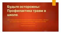 Презентация к классному часу на тему: Профилактика травматизма .