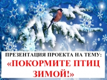 Презентация по проекту на тему Покормите птиц зимой!
