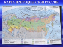 Презентация по окружающему миру на тему  Степь 4 класс