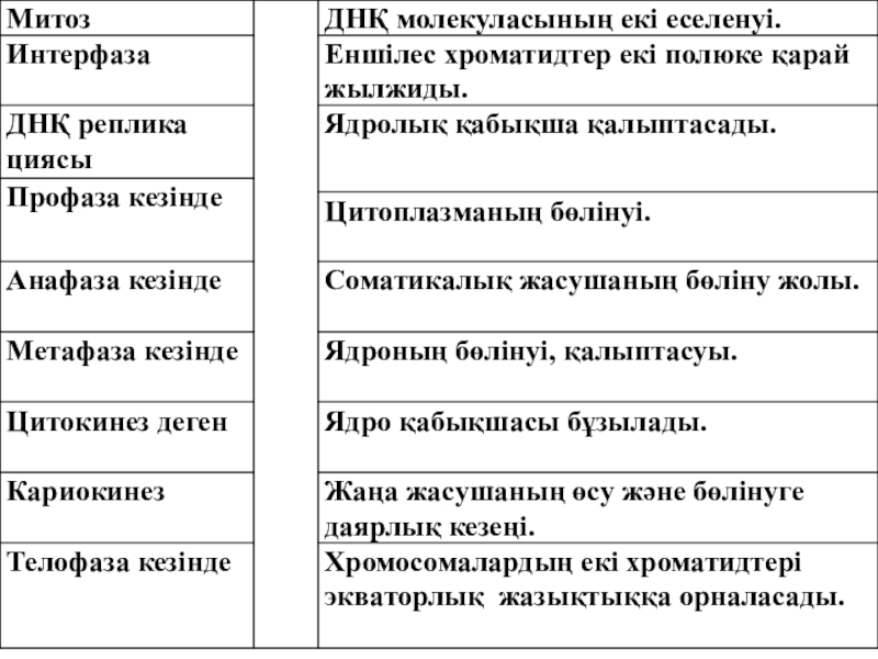 Биология пәнінен Митоз тақырыбына презентация (10 сынып)