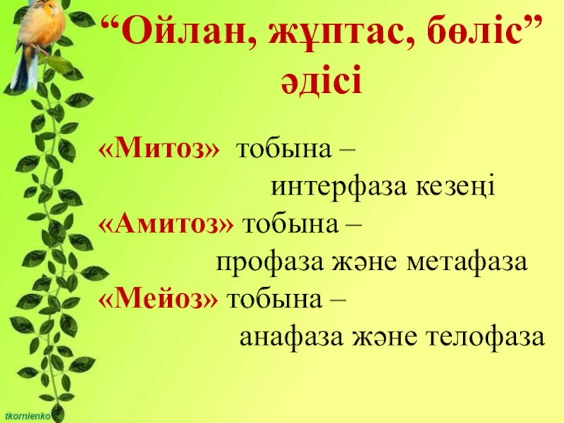 Биология пәнінен Митоз тақырыбына презентация (10 сынып) Өзін-өзі ұдайы өндіру – тіріге тән жалпылама қасиет. Митоз.“Ойлан, жұптас, бөліс” Өзін-өзі ұдайы өндіру – тіріге тән жалпылама қасиет. Митоз.“Ойлан, жұптас, бөліс” әдісі«Митоз» тобына –