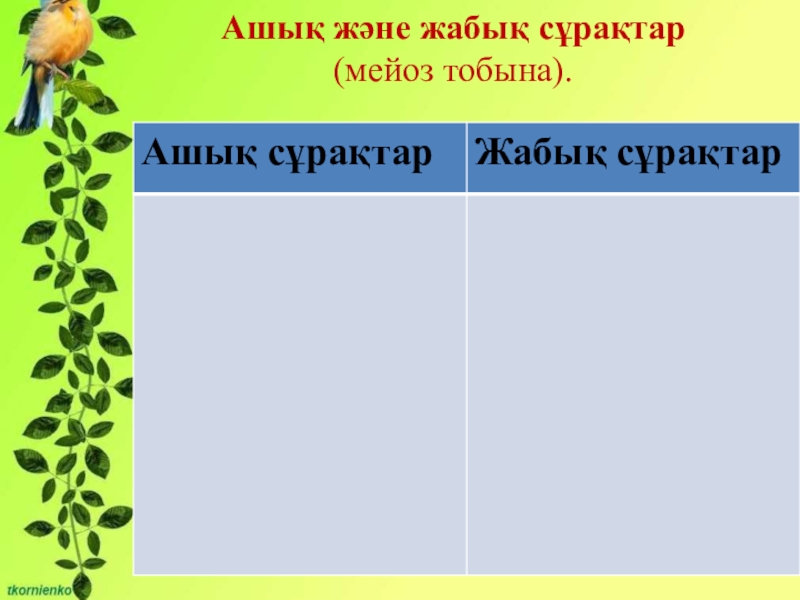 Биология пәнінен Митоз тақырыбына презентация (10 сынып) Өзін-өзі ұдайы өндіру – тіріге тән жалпылама қасиет. Митоз.Ашық және жабық сұрақтар (мейоз тобына). Өзін-өзі ұдайы өндіру – тіріге тән жалпылама қасиет. Митоз.Ашық және жабық сұрақтар (мейоз тобына).