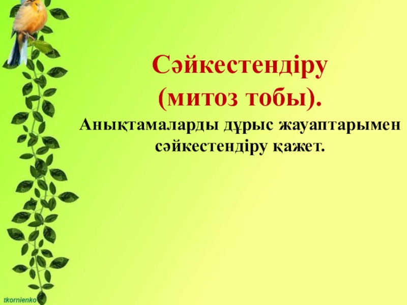 Биология пәнінен Митоз тақырыбына презентация (10 сынып) Өзін-өзі ұдайы өндіру – тіріге тән жалпылама қасиет. Митоз.Сәйкестендіру (митоз тобы). Анықтамаларды дұрыс жауаптарымен сәйкестендіру қажет. Өзін-өзі ұдайы өндіру – тіріге тән жалпылама қасиет. Митоз.Сәйкестендіру (митоз тобы). Анықтамаларды дұрыс жауаптарымен сәйкестендіру қажет.