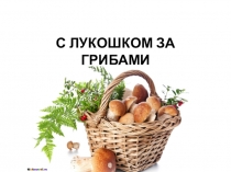 Презентация по окружающему миру на тему С лукошком за грибами